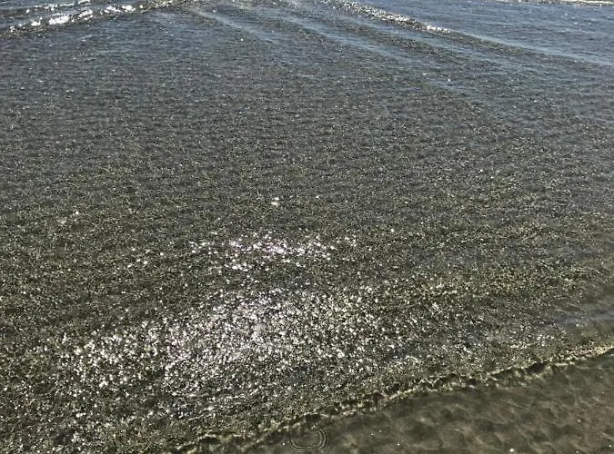 Апартамент омния Черноморец