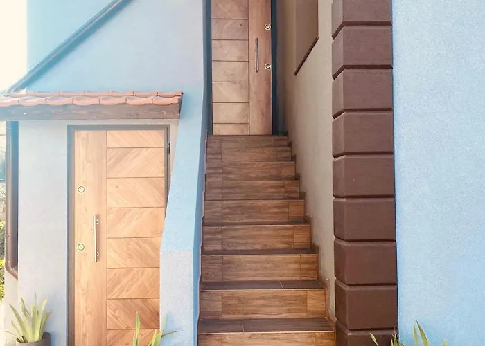 омния * Черноморец