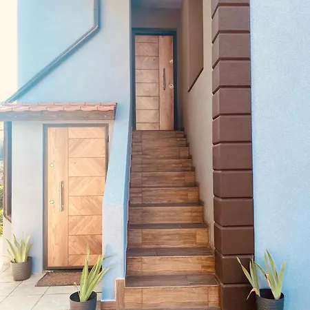 омния * Chernomorets